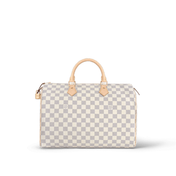 Louis Vuitton  Speedy 35