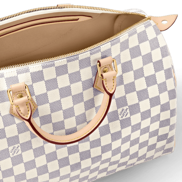 Louis Vuitton  Speedy 35