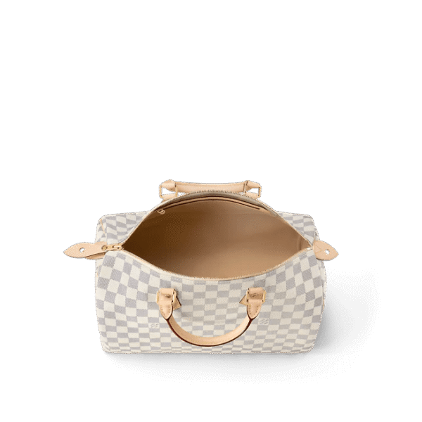Louis Vuitton  Speedy 35