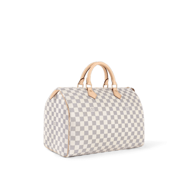 Louis Vuitton  Speedy 35