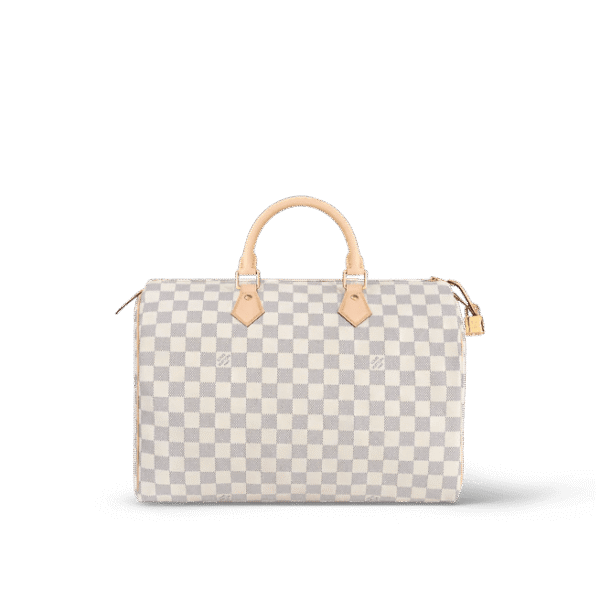 Louis Vuitton  Speedy 35