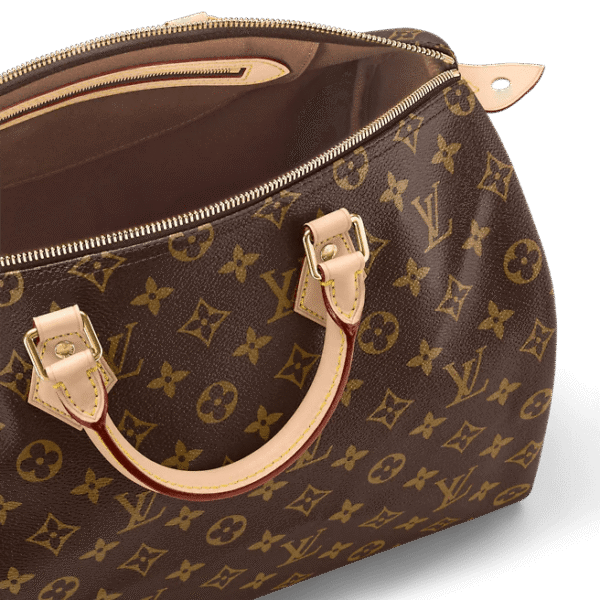 Louis Vuitton  Speedy 35