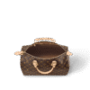 Louis Vuitton  Speedy 35