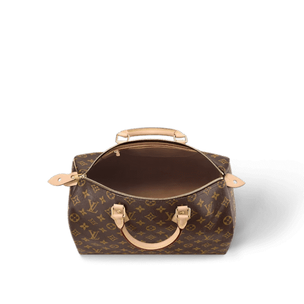 Louis Vuitton  Speedy 35