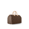 Louis Vuitton  Speedy 35