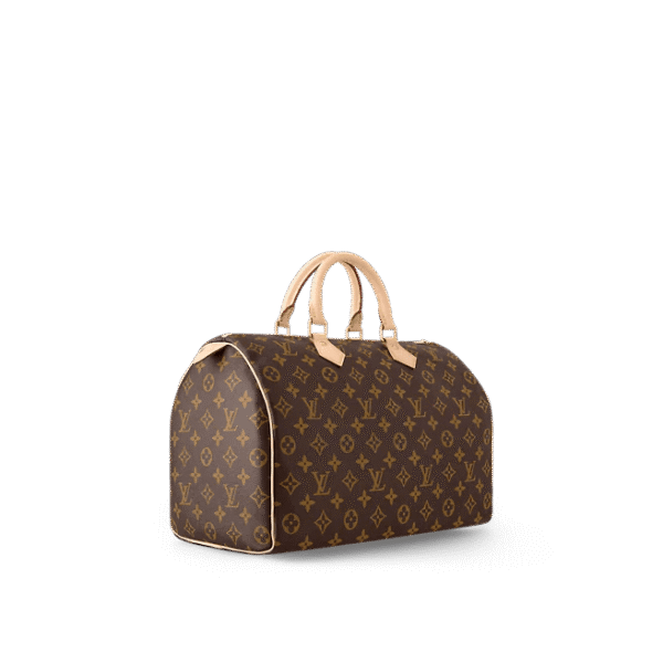 Louis Vuitton  Speedy 35
