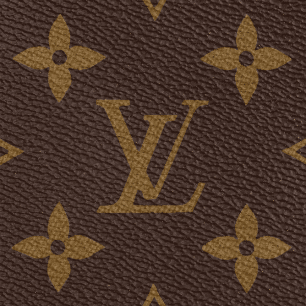 Louis Vuitton Speedy Bandoulière 20