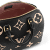 Louis Vuitton Speedy Bandoulière 25