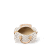 Louis Vuitton  Speedy Bandoulière 25