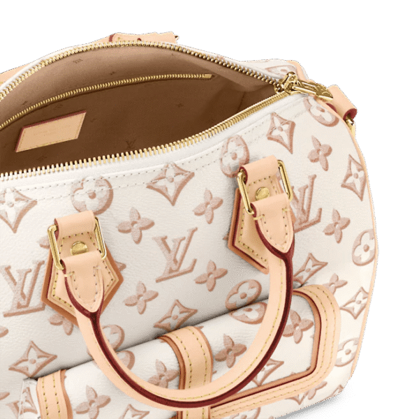 Louis Vuitton  Speedy Bandoulière 25