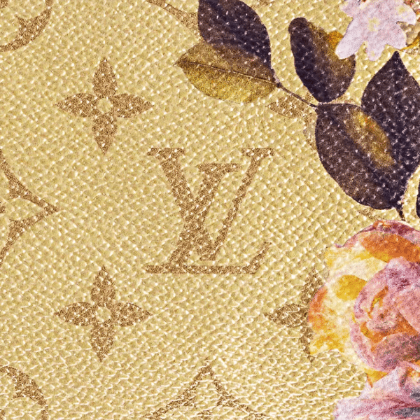 Louis Vuitton Speedy bandoulière 25