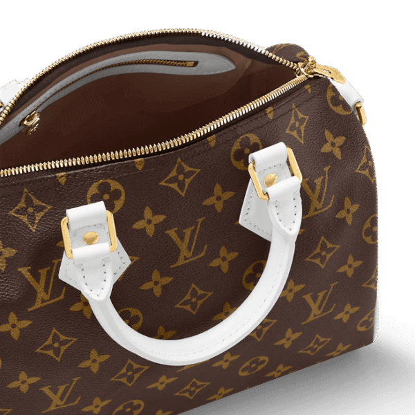Louis Vuitton Speedy Bandoulière 25