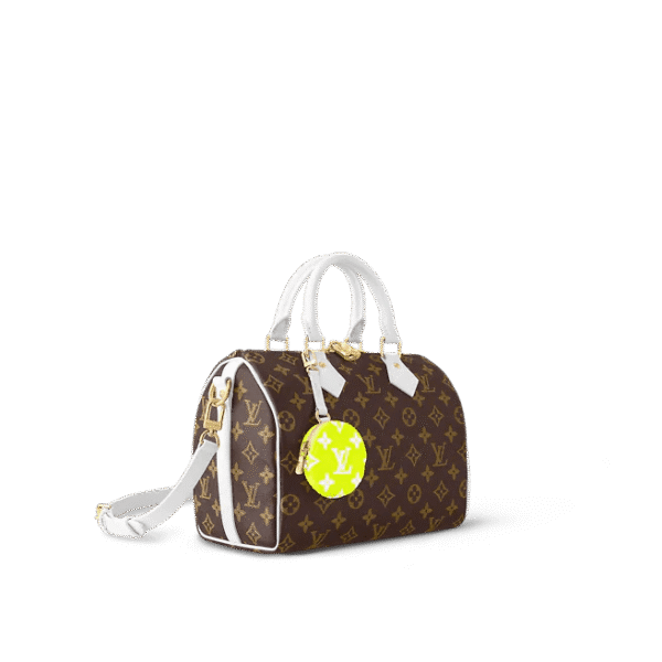 Louis Vuitton Speedy Bandoulière 25