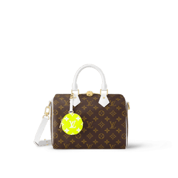 Louis Vuitton Speedy Bandoulière 25