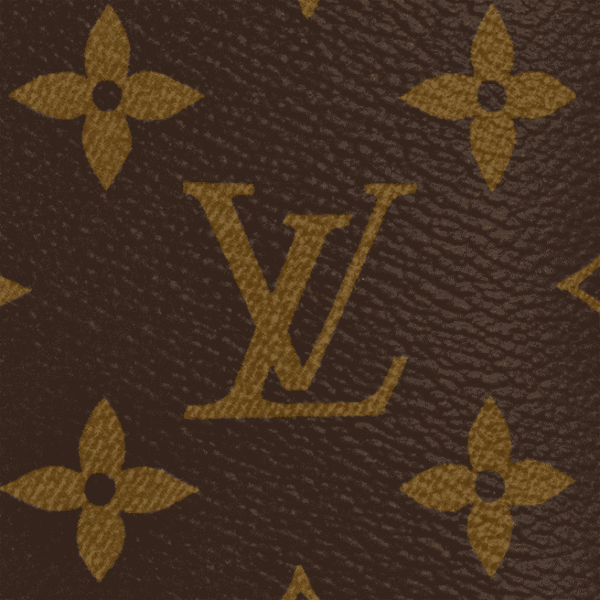 Louis Vuitton  Speedy Bandoulière 30