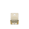 Louis Vuitton Twist PM