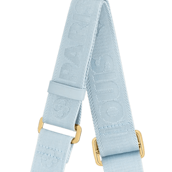 Louis Vuitton  Wallet on Strap Bubblegram