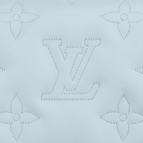 Louis Vuitton  Wallet on Strap Bubblegram